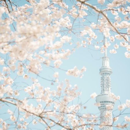 Hotel Ichigaya（Jr Ichigaya Sta.) Токіо Екстер'єр фото