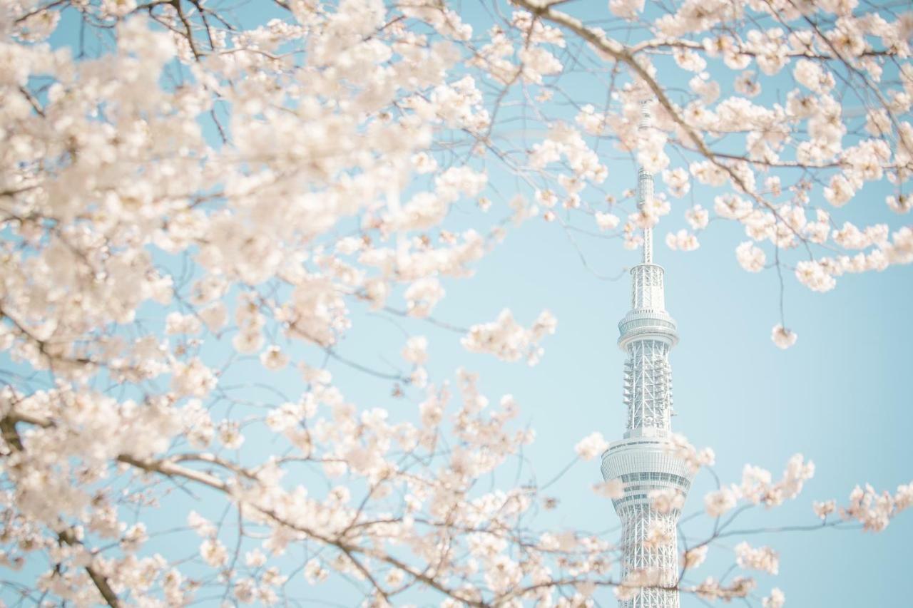Hotel Ichigaya（Jr Ichigaya Sta.) Токіо Екстер'єр фото
